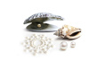 Пэстис из кристаллов Bijoux Indiscrets - Mimi Pearl, украшение на грудь || Пестіс з кристалів Bijoux Indiscrets - Mimi Pearl, прикраса на груди