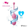 Набор вагинальных шариков для продвинутых FeelzToys - FemmeFit Advanced Pelvic Muscle Training Set || Набір вагінальних кульок для просунутих FeelzToys - FemmeFit Advanced Pelvic Muscle Training Set